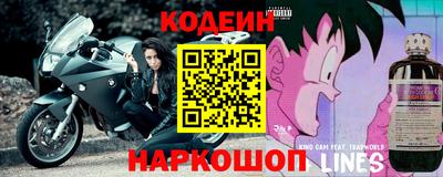 шишки Дубна