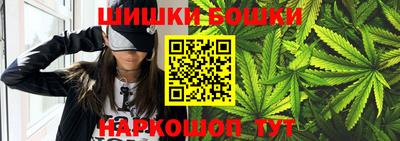 шишки Дубна