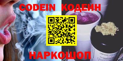 шишки Дубна