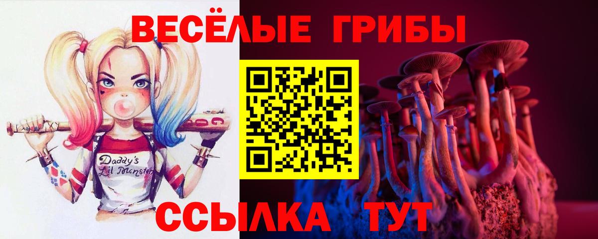 Псилоцибиновые грибы MAGIC MUSHROOMS  Вход с VPN  купить  цена  Лангепас 