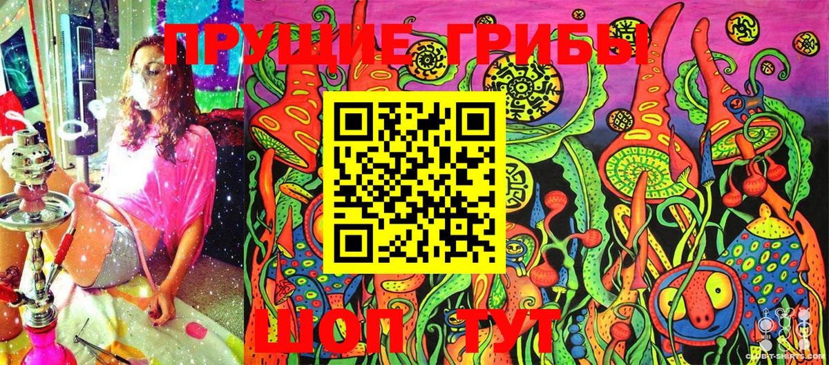 Псилоцибиновые грибы Psilocybe Лангепас